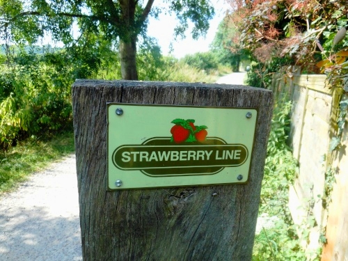 The Strawberry line