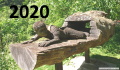 Click to go to the 2020 gallery 2018 gallery